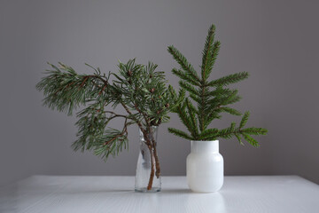 Two vase with bouquet evergreen fir twigs