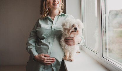 beautiful pregnant girl stands with a dog near the window