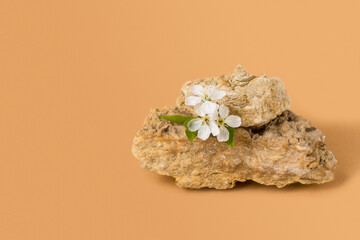 Minimalistic mock-up of a stone podium and a sprig of cherry blossoms on a beige background with copy space. Monochrome. Background for cosmetics in natural beige color