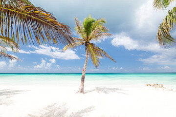 Naklejka na ściany i meble Beach calm scene with single coconut palm close to Caribbean sea. Tropical paradise with white sand, beautiful travel card background