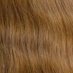 Human hair wig on a mannequin. Back view. Blonde. Straight hair