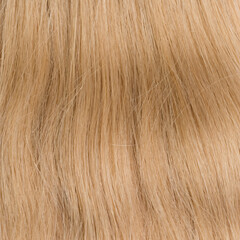Human hair wig on a mannequin. Back view. Blonde. Straight hair