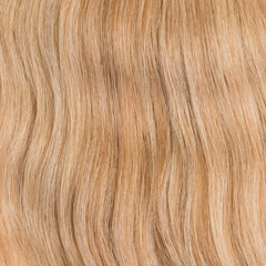 Naklejka premium Human hair wig on a mannequin. Back view. Blonde. Straight hair