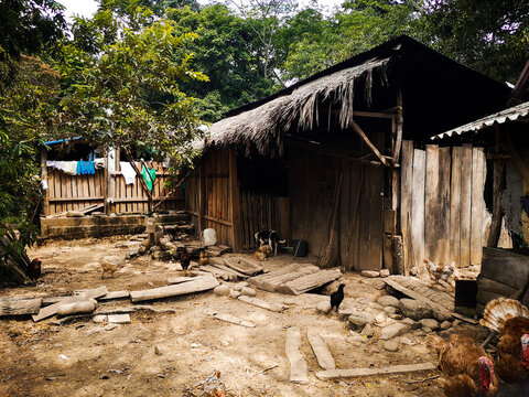 casa, viejo, madera, edificio, pueblo, arquitectura, campesina, casa, campestre, establo, caba&ntilde;a, caba&ntilde;a, techo, tradicional, construcci&oacute;n, chacras, naturaleza, barraca, abandonada, cobertizo, &aacute;rbol, 