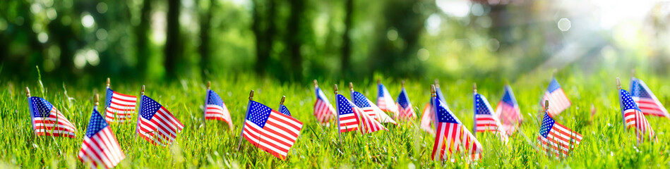 American Flags In Grass - Defocused Abstract Memorial Day background