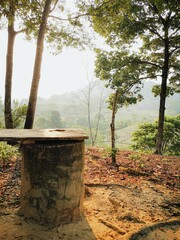 Fototapeta premium bosque, árbol, naturaleza, paisaje, árbol, madera, aparcar, verde, madera, otoñal, gemas, camino, verano, banco, huerta, lago, acuático, primavera, languidecer, al aire libre, viejo, césped, cofres, c