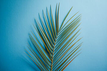 Universal beautiful background with palm branches.
