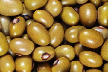 Grãos de feijão amarelo.
Yellow beans grains.