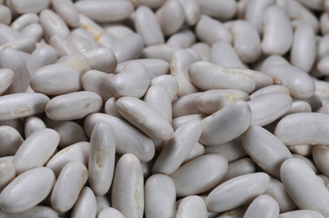 Grãos de feijão branco.
white beans grains