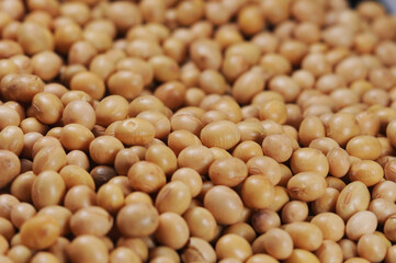 soja, soy, soy beans, amarelo, yellow 
