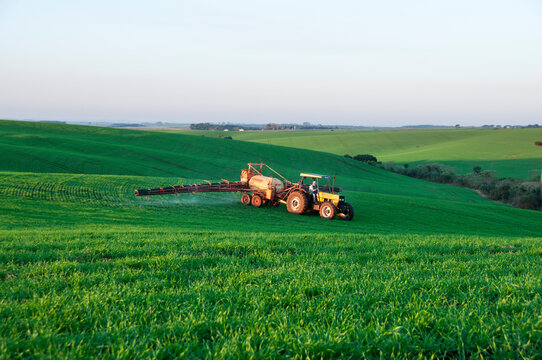 Trator passando agrot&oacute;xico em planta&ccedil;&atilde;o.