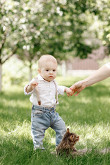 Cute little baby boy takes the first steps on the grass in summer, on a Sunny day, playing with a cat. Selective focus, space for text