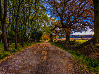 Obraz premium default