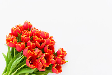 Red tulips bouquet a light background. Mothers Day, Valentines Day, birthday celebration concept