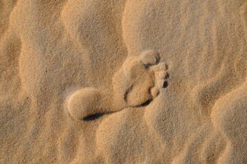 Fototapeta na wymiar Pegadas na areia da praia e dunas, 