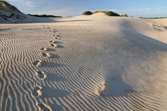 Pegadas na areia da praia e dunas de Itaunas, Esp&iacute;rito Santo, Brasil, 