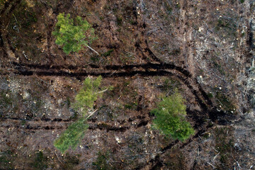 An aerial of muddy wood forwarder tracks on a clear-cut area in Estonia, Northern Europe. 