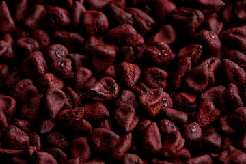 Closeup of annatto seed achoite