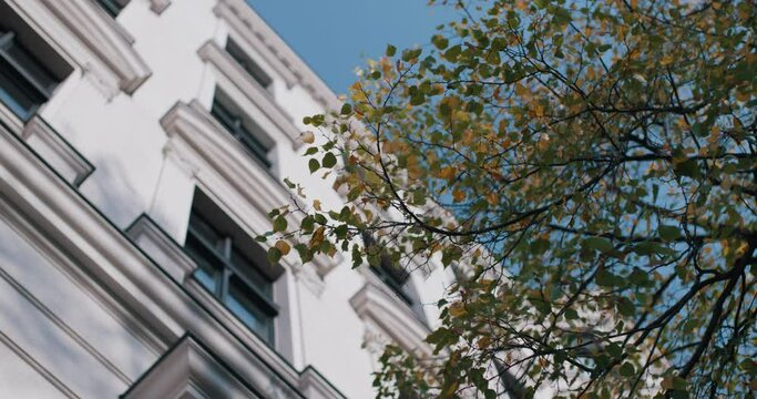 berlin city house facade tree in foreground blue sky 4k