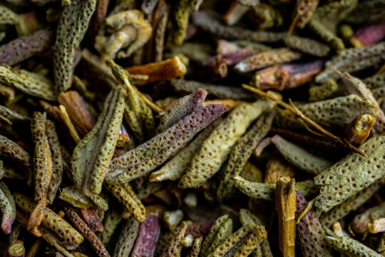 Closeup of dried thyme