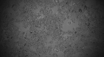 abstract pink lilac colorful watercolor acrylic fractal grunge image illustration paint background bg texture wallpaper art frame sample board blank material