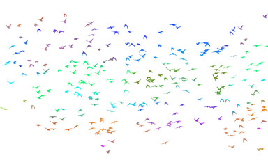 Bird watercolor. A flock of colorful birds. Mixed media. Vector illustration