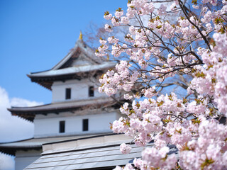 松前城の桜