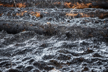 ash and snow lie on the black charred ground after a forest fire, a natural disaster and environmental damage, fallen burned tree trunks
