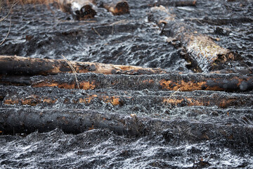ash and snow lie on the black charred ground after a forest fire, a natural disaster and environmental damage, fallen burned tree trunks