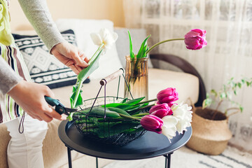 Woman arranges bouquet of tulips flowers at home. Florist cuts stem with scissors. Interior and...