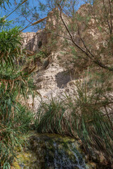 Clear stream in Ein Gedi National Park close to the Dead Sea in Israel

