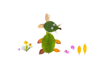 DIY leaf craft, various colorful dead leaves