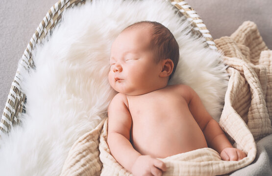 Sleeping newborn baby in basket wrapped in blanket in white fur background. Portrait of little child one week old.