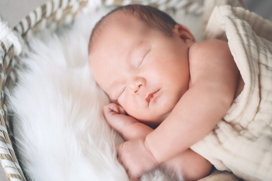 Sleeping newborn baby in basket wrapped in blanket in white fur background. Portrait of little child one week old.