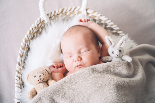 Sleeping newborn baby in basket wrapped in blanket in white fur background. Portrait of little child one week old with soft toys.