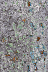 Peeling paint on the wall. Old concrete wall with cracked flaking paint. Weathered rough painted surface with patterns of cracks and peeling. Grunge texture for background and design. High resolution.