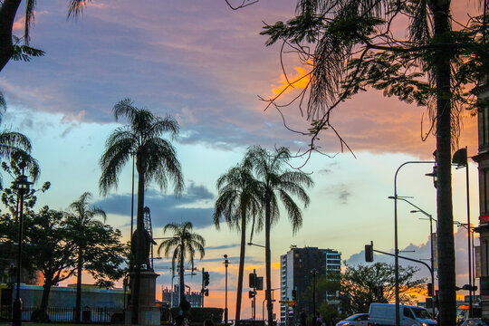 Tropical trees silhouetted against buildings and colorful Southern Hemisphere sunset in Brisband Australia.