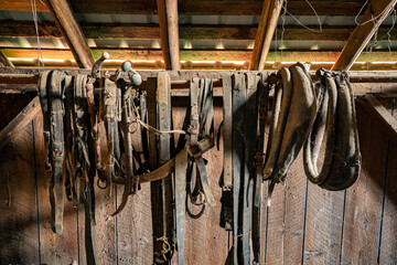 Numerous leather harnes straps hanging on the loft wall inside an old abandoned barn near Jefferson Oregon. © Bob