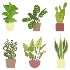 Vector set of green home plants