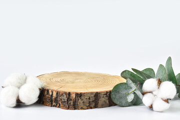 An empty podium for product presentations. A minimalistic scene of a felled tree next to a branch of eucalyptus and inside. Eco-friendly organic natural cosmetics for skin and body care. Copy space.