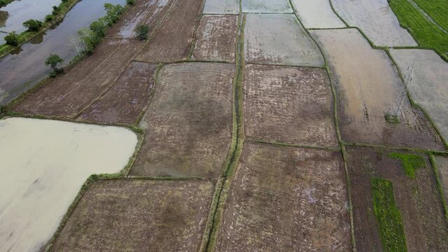 Farmers in rural areas Preparing an area to rice field In the coming rainy season