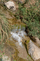 Clear stream in Ein Gedi National Park close to the Dead Sea in Israel
