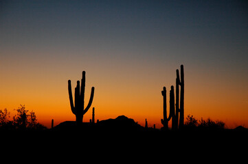 Arizona Sunset
