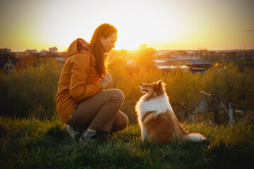 Train your pet at sunset. The friendship between owner and dog.