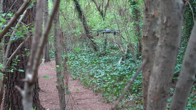 Modern Drone Filming A Trail in the Woods - Concept: Spying, Surveillance, Apocalyptic, Nature VS Machine - Sliding Gimbal Shot