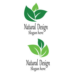 Leaf icon Vector Illustration design Logo template