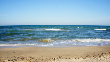 sea. ocean. sea surface, light waves, a deserted beach and a lone seagull in a cloudless sky. horizon line. dark blue water, clean sandy beach. Sea of Azov 