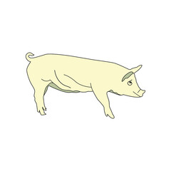 Illustration Vector graphic of pig design drawn