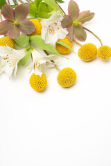 Billy buttons and white alstroemeria floral flat lay