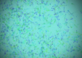abstract colorful watercolor acrylic fractal grunge image illustration paint background bg texture wallpaper art frame sample board blank material